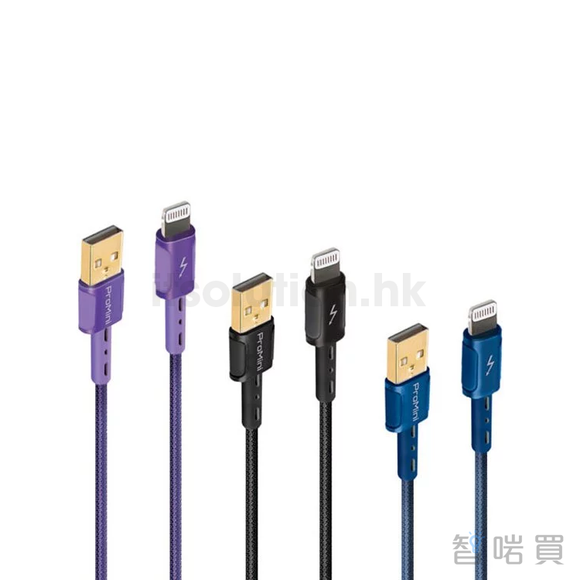 ProMini MFi Lightning to USB-A 快充銅製數據傳輸線 - ChiarmBuy